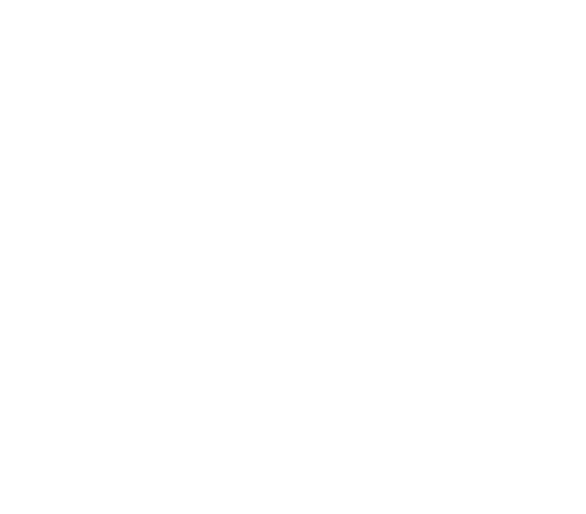 Stieregg Rentals Logo